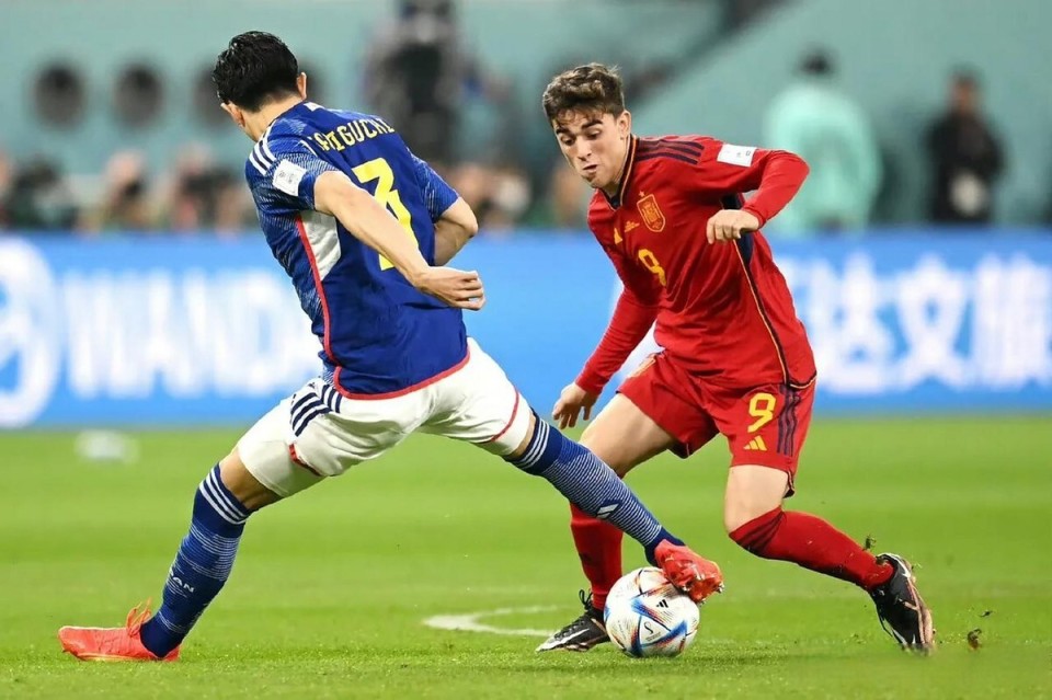 被一直看衰, fyEs, 届世界杯的